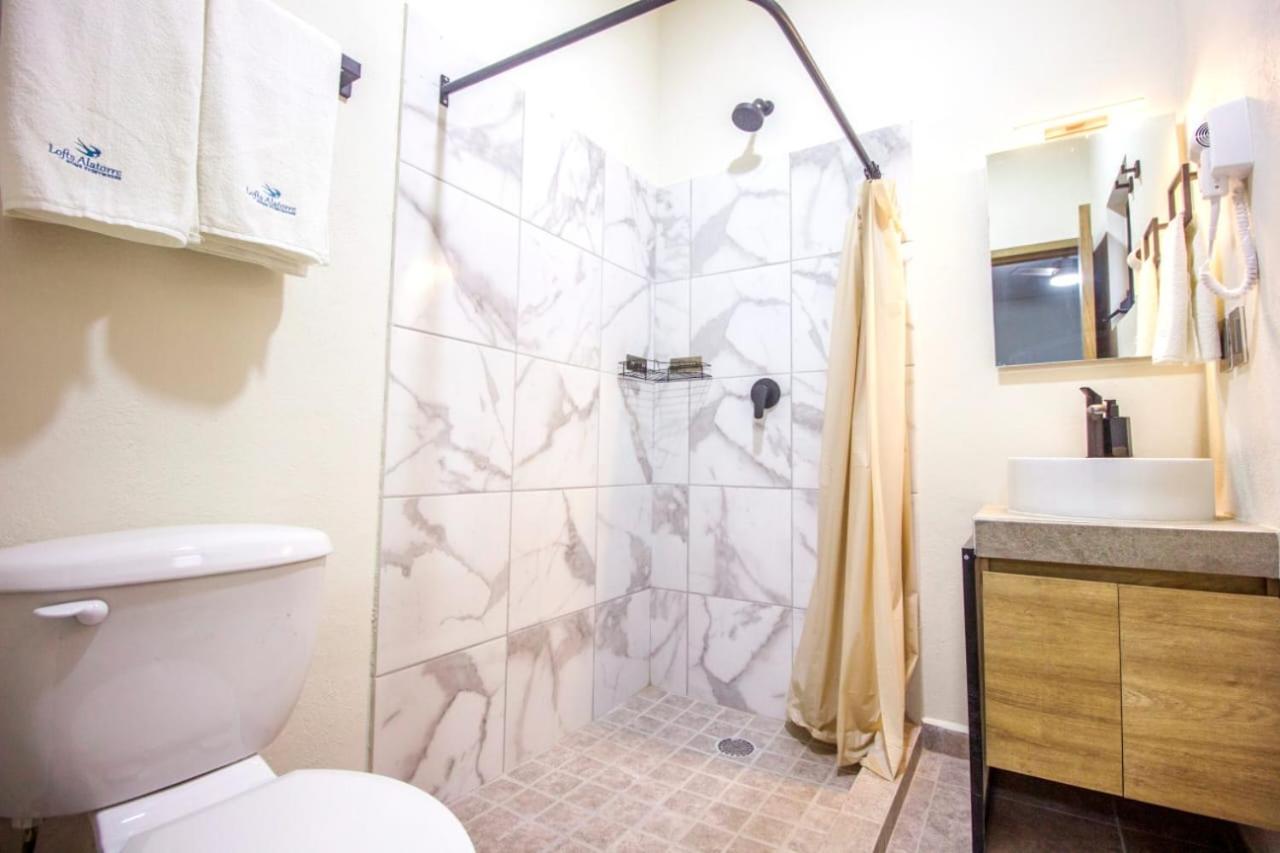 Aparthotel Loft Alatorre Guadalajara Exterior foto